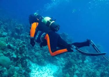 英国启动数字英镑设计工作 隐私担忧放首位